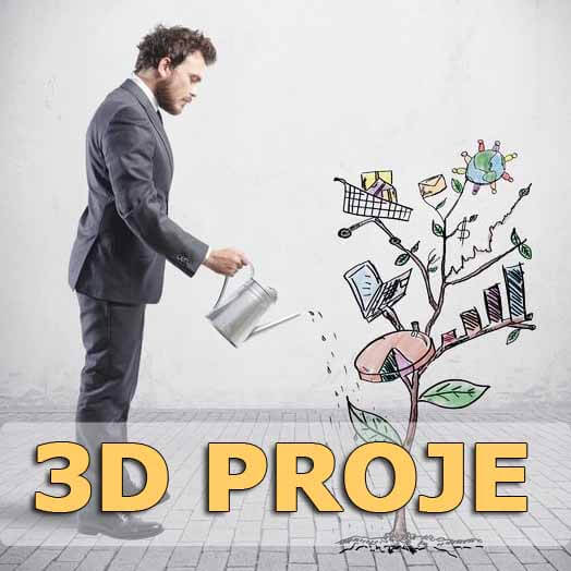 3d proje