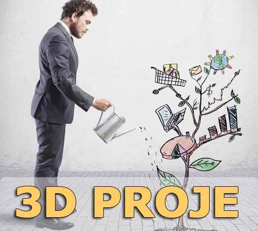 3d proje