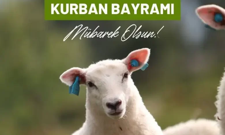 2024 Kurban Bayramı