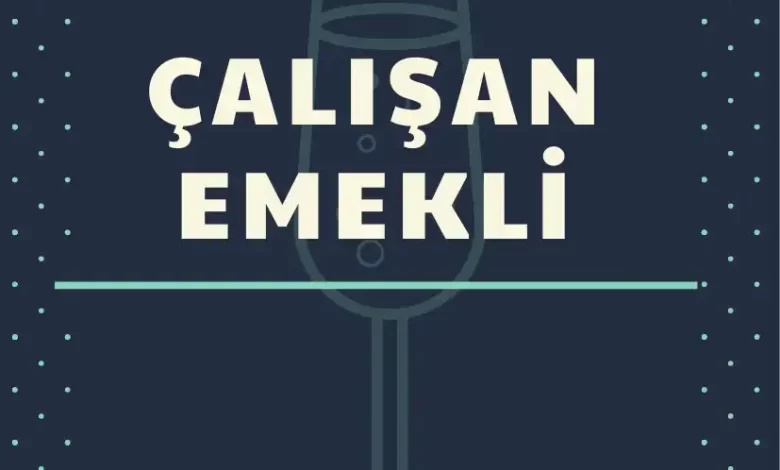 çalışan emekli