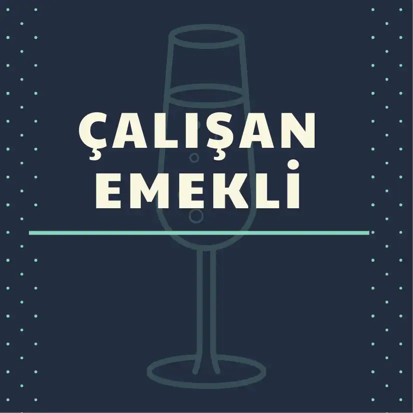 çalışan emekli